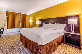 Room, 1 King Bed, Non Smoking