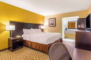 Room, 1 King Bed, Non Smoking