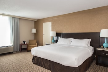 Suite, 1 King Bed, Non Smoking, Refrigerator & Microwave (with Sofabed)