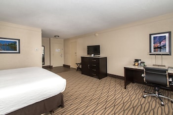 Standard Room, 1 King Bed, Non Smoking, Refrigerator (with Sofabed)