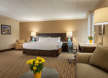 Suite, 1 King Bed, Non Smoking, Refrigerator & Microwave (with Sofabed)