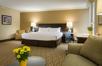 Suite, 1 King Bed, Non Smoking, Refrigerator & Microwave (with Sofabed)