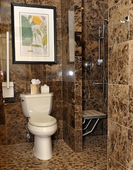 Room, 2 Queen Beds, Accessible, Non Smoking (Roll-In Shower)