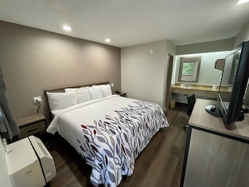 Standard Room, 1 King Bed, Non Smoking (Renovated)