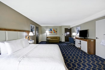 Room, 1 King Bed, Accessible (3x3 Shower)