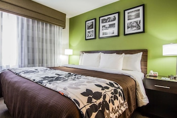 Standard Room, 1 King Bed, Accessible, Non Smoking (Roll-In shower)