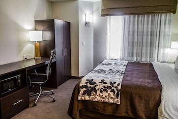 Standard Room, 1 King Bed, Accessible, Non Smoking (Roll-In shower)