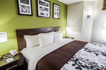 Standard Room, 1 King Bed, Non Smoking