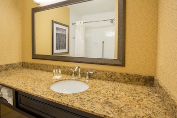 Premium Room, 1 King Bed (Allergen Treated)