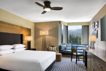 Room, 1 King Bed