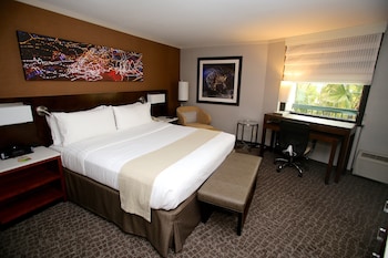 Premium Room, 1 King Bed