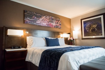 Suite, 1 King Bed