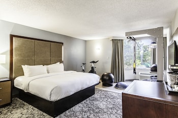 Room, 1 King Bed (Fitness)