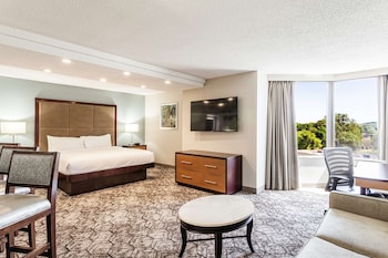 Junior Suite, 1 King Bed with Sofa bed