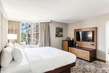 Room, 1 King Bed, Accessible, Bathtub
