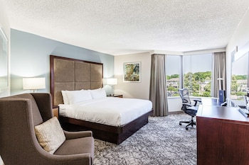 Room, 1 King Bed, Accessible, Bathtub