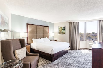 Suite, 1 King Bed (Parlor)