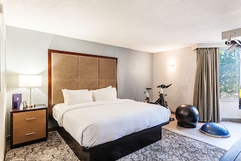 Room, 1 King Bed (Fitness)