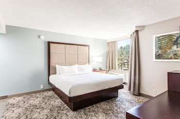 Room, 1 King Bed, Accessible, Bathtub