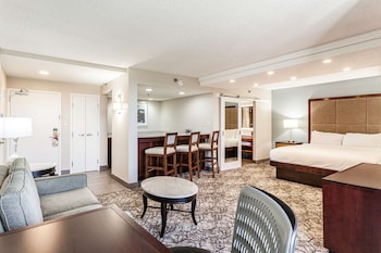 Junior Suite, 1 King Bed with Sofa bed