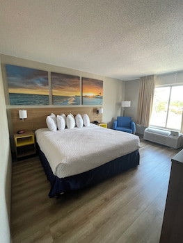Room, 1 King Bed, Mobility Accessible, Non Smoking (Roll-In Shower)