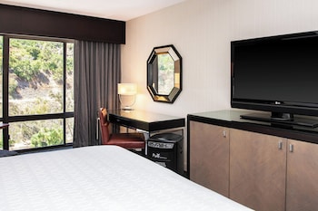 Pure, Room, 1 King Bed