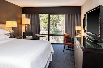 Room, 1 King Bed (Mobility/Hearing Access, Roll-In Shwr)