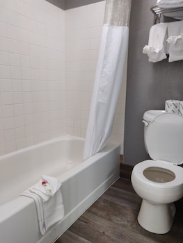 Deluxe Single Room, 1 Double Bed, Non Smoking