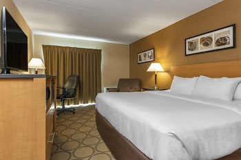 Standard Room, 1 King Bed, Non Smoking