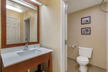 Business Room, 1 King Bed, Non Smoking