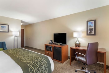 Room, 1 King Bed, Accessible, Non Smoking
