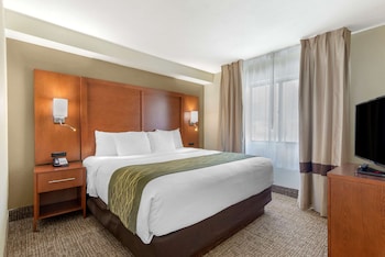 Suite, 1 King Bed, Non Smoking