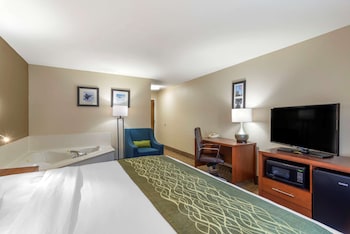 Business Room, 1 King Bed, Non Smoking