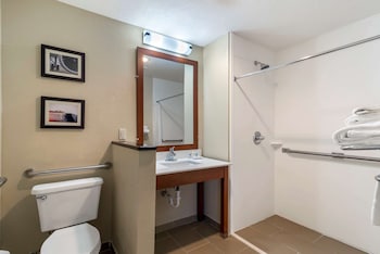 Room, 1 King Bed, Accessible, Non Smoking