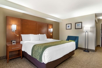 Room, 1 King Bed, Accessible, Non Smoking