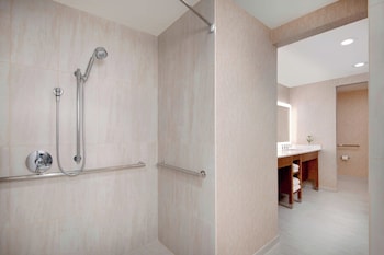 Traditional Room, 1 King Bed (Mobility Accessible, Roll-in Shower)