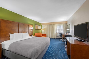 Room, 1 King Bed, Accessible, Non Smoking