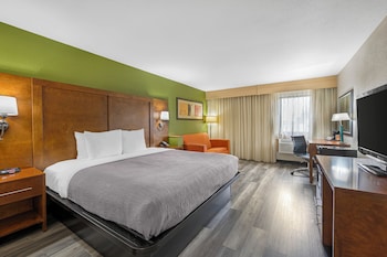 Room, 1 King Bed, Non Smoking (Upgrade)