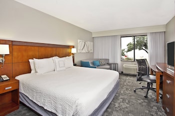 Room, 1 King Bed