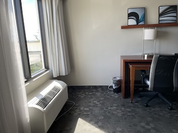 Room, 1 King Bed
