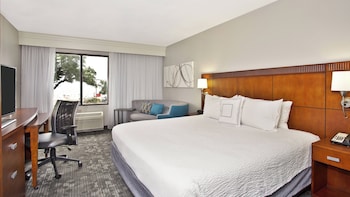 Room, 1 King Bed