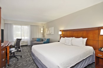 Room, 1 King Bed