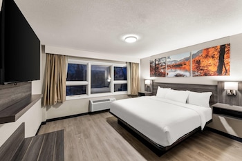 1 King Bed Suite, Full Kitchen with 2 person Sofa bed