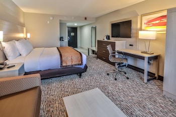 Suite, 1 King Bed, Non Smoking, Refrigerator & Microwave (with Sofabed)
