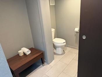 Suite, 1 King Bed