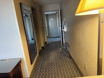 Room, 1 King Bed, Roll-in Shower