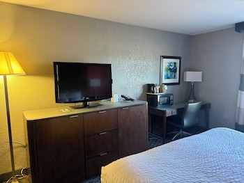 Room, 1 King Bed, Roll-in Shower