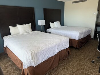 Suite, Multiple Beds