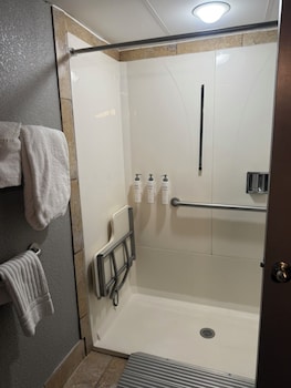 Room, 1 King Bed, Roll-in Shower