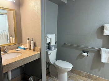 Room, 1 King Bed, Roll-in Shower